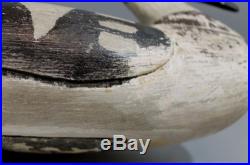 Antique Maine Carved Working Merganser Duck Decoy, Gus Wilson Attribution