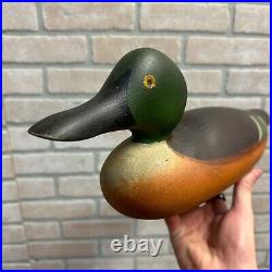 Antique Mason Painted Eye Shovler Duck Decoy Professionally Restored Repainted