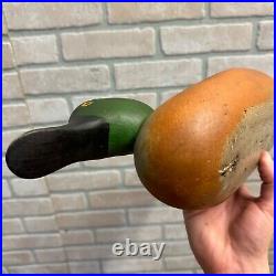 Antique Mason Painted Eye Shovler Duck Decoy Professionally Restored Repainted