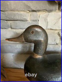 Antique Massachusetts duck decoy