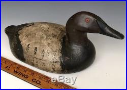 Antique Midwestern Duck Decoy Canvasback Drake, St Clair Flats, Michigan, c1920