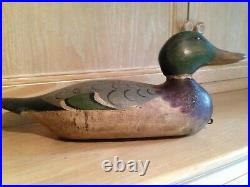 Antique ORIGINAL HAYS Wing Teal duck decoy c1920, duck with paint and glass eye