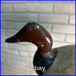 Antique Original Paint Evans Wooden Duck Decoy Mammoth Canvasback Drake