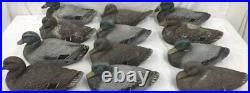 Antique Paper Mache Duck Decoy- Mixed Fibre Ariduk, 14 Glass Eye Lot 12 Ducks