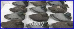 Antique Paper Mache Duck Decoy- Mixed Fibre Ariduk, 14 Glass Eye Lot 12 Ducks