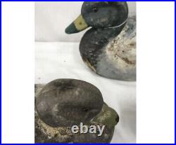 Antique Paper Mache Duck Decoy- Mixed Fibre Ariduk, 14 Glass Eye Lot 12 Ducks