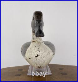 Antique Pintail Drake Illinois River Duck Decoy Hollow Carved by Henry Holmes