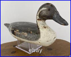 Antique Pintail Drake Illinois River Duck Decoy Hollow Carved by Henry Holmes