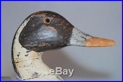 Antique Pintail Hen Duck Decoy by Fresh Air Dick Jansen San Francisco c. 1900