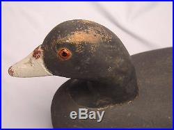 Antique Primitive Working Black Duck Decoy w Old Paint and Glass Eyes
