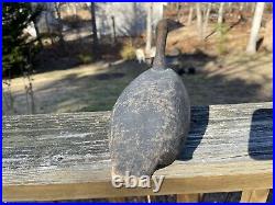 Antique Rare Root Head Coot Working Weighted Solid Body Duck Decoy Handmade