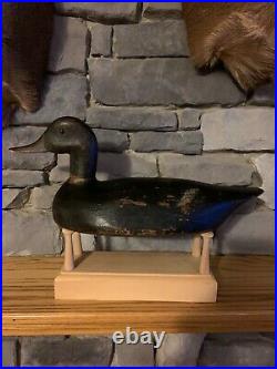 Antique Toronto high head Bluebill duck decoy