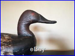 Antique Upper Bay Md Canvasback Drake Duck Decoy Iron Keel