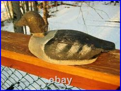 Antique / Vintage Duck Decoy Goldeneye Hen Tack Eyes Folk Art Primitive