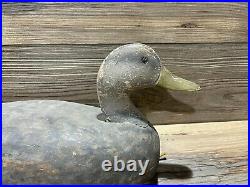 Antique Vintage Wood Duck Decoy SAYBROOK Connecticut Wildfowler Black Duck