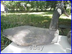 Antique Water Fowl Goose Decoy Wood Old Root Head Long Island Estate Find