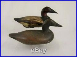 Antique Wood Duck Decoy Bob Mcgaw Canvasback Pair Maryland Goose Shorebird
