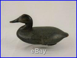 Antique Wood Duck Decoy Graham Holly Canvasback Pair Maryland Goose Shorebird