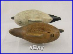 Antique Wood Duck Decoy Madision Mitchell Pintail Pair Maryland Goose Shorebird