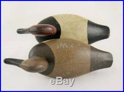 Antique Wood Duck Decoys Canvasback Pair Ed Parsons Maryland Goose Shorebird