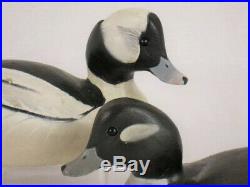 Antique Wood Duck Decoys Ward Brothers Bufflehead Pair Maryland Goose Shorebird