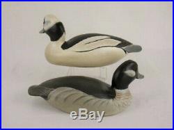Antique Wood Duck Decoys Ward Brothers Bufflehead Pair Maryland Goose Shorebird