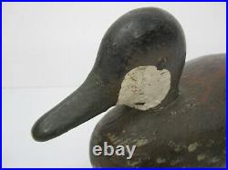 Antique c1880s Bluebill Ruddy Duck Decoy Wood Maumee Bay Point Place Toledo Ohio