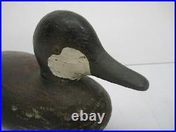 Antique c1880s Bluebill Ruddy Duck Decoy Wood Maumee Bay Point Place Toledo Ohio
