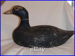 Antique coot decoy by Gus Nelo