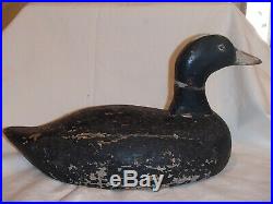 Antique coot decoy by Gus Nelo