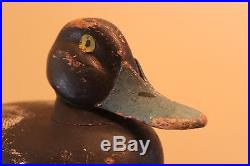 Antique hunting Fred Allen snuggle head bluebill duck decoy folk art late 1800s