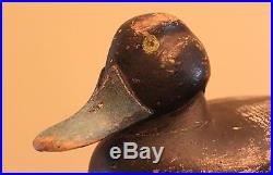 Antique hunting Fred Allen snuggle head bluebill duck decoy folk art late 1800s