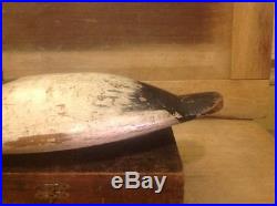Antique vintage old working wooden Eastern shore canvasback duck decoy