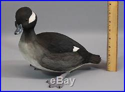 Authentic Don Walters Carved Painted Wood Life Size Bufflehead Duck Decoy
