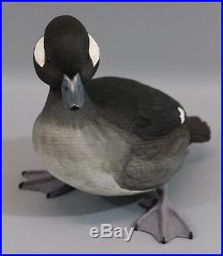 Authentic Don Walters Carved Painted Wood Life Size Bufflehead Duck Decoy
