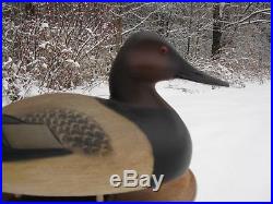 Beautiful Darkfeather Freedman Canvasback Drake Duck Decoy / Wooden Carved