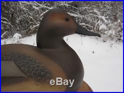 Beautiful Darkfeather Freedman Canvasback Hen Duck Decoy / Wooden Carved