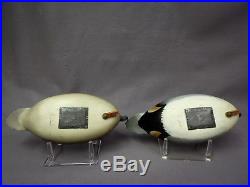 Beautiful George Strunk signed Green Wing Teal Duck Decoy Pair 1/2 size NJ