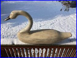 Beautiful Large Holly Style Hollow Carved Swan Decoy 36 Long x 20 High