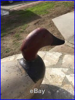 Bidding on 3 Vintage Evans Canvasback Duck Decoys. Used Condition