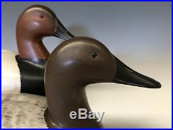 Bill Neal (Sonoma, CA) Duck Hunting Decoy Decoys Vintage Canvasback Pair