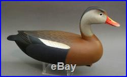 Black Bellied Tree Duck Duck Decoy Delaware River Rick Brown Brick Nj