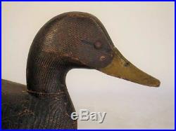Black Duck Decoy Ontario Canada Will Clarke 100% Orig Antique Goose Shorebird