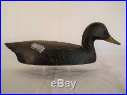Black Duck Decoy Ontario Canada Will Clarke 100% Orig Antique Goose Shorebird
