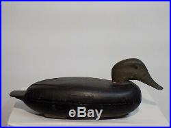 Black Duck Decoy by John Dawson circa 1930 Trenton NJ Delaware River