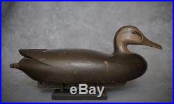 Black Duck Decoy by Tony Bianco circa 1940 Must See