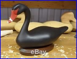 Black Swan by Jim Pierce of Havre De Grace Maryland