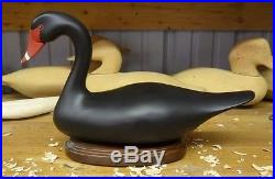 Black Swan by Jim Pierce of Havre De Grace Maryland