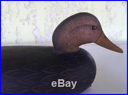 Black duck decoy