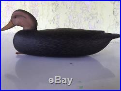 Black duck decoy